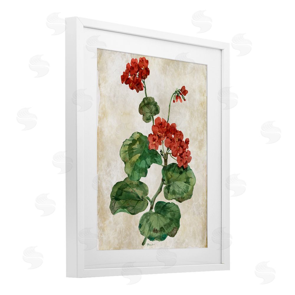 Paul Brent Floral Journal Flower Painting White Framed Print Under Glass Art