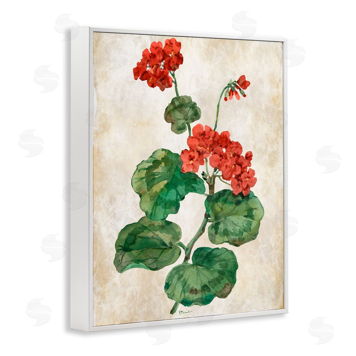 Paul Brent Floral Journal Flower Painting White Frame Giclee Art Print