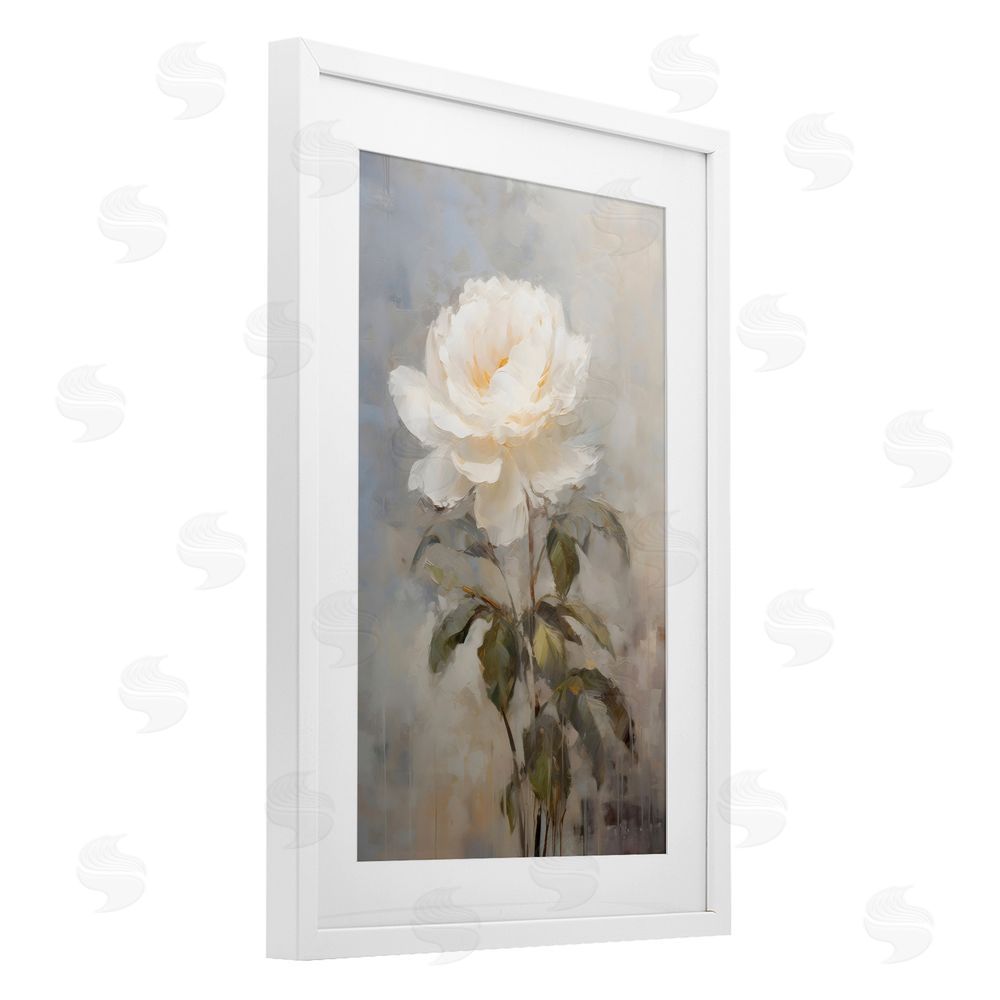 Creative Studio White Rose Close Up White Framed Print Under Glass Art