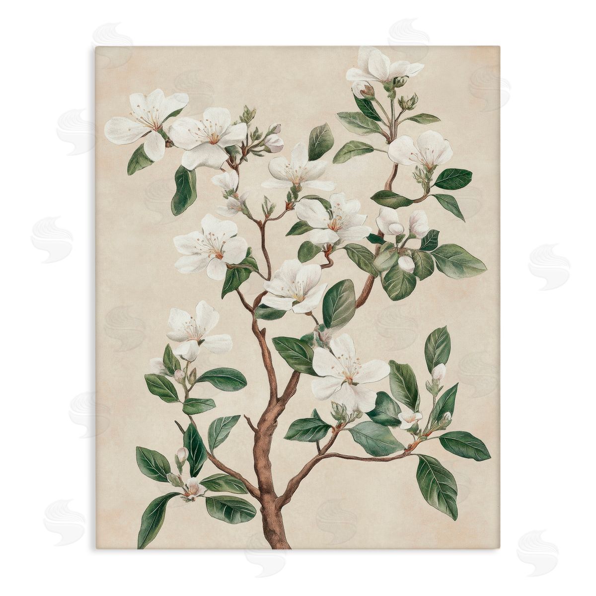 Petal Prints Design White Floral Blossom Tree Canvas Wall Art Print
