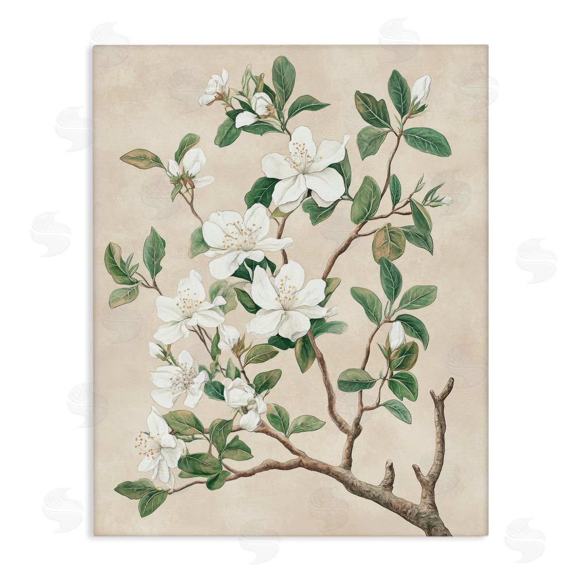 Petal Prints Design Vintage White Blossomed Tree Canvas Wall Art Print