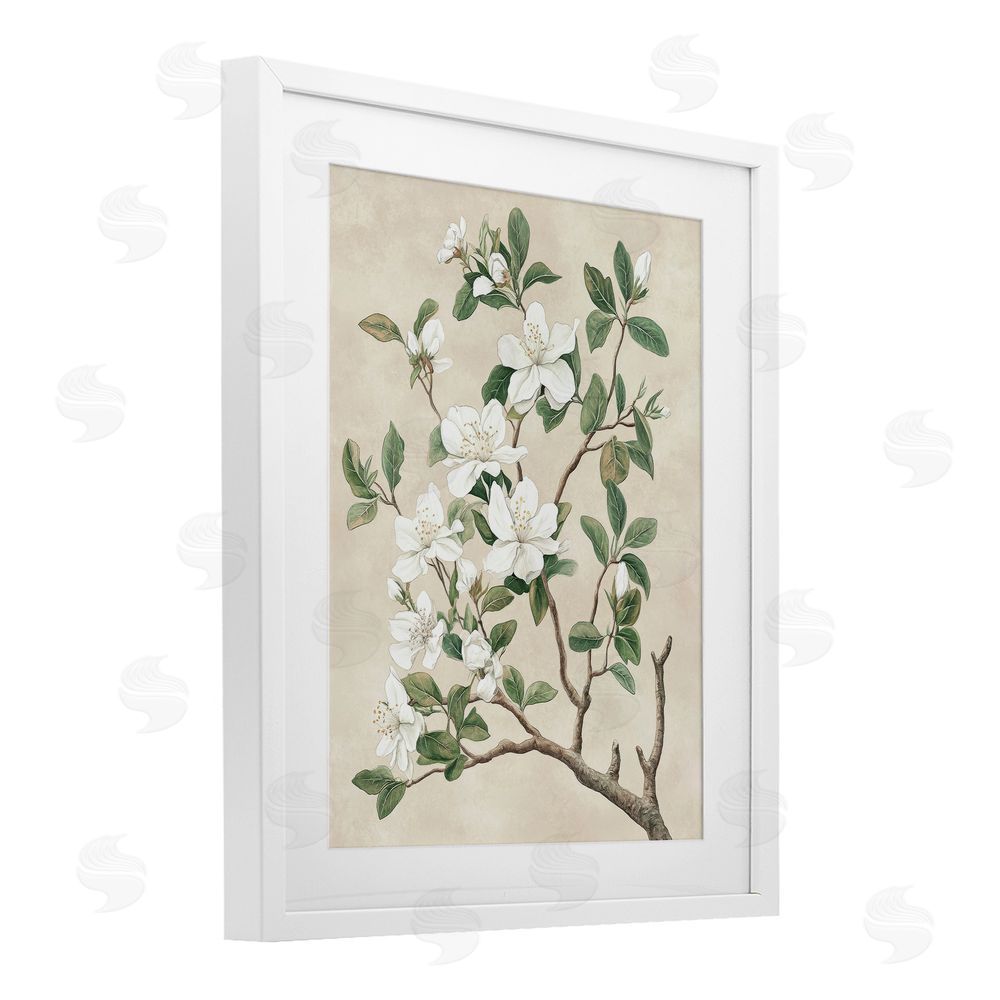 Petal Prints Design Vintage White Blossomed Tree White Framed Print Under Glass with Mat Wall Art