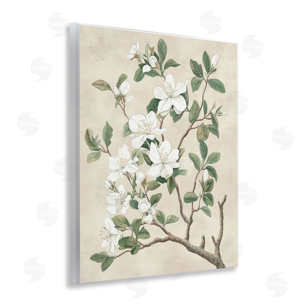 Petal Prints Design Vintage White Blossomed Tree Wall Plaque Art Print