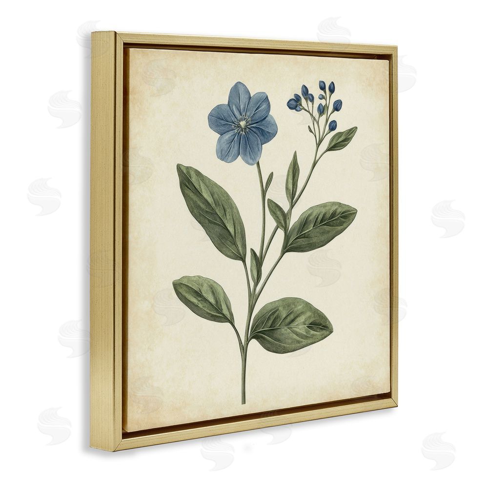 Petal Prints Design Vintage Blue Blossoms Wildflower Gold Floating Frame Canvas Wall Art Print