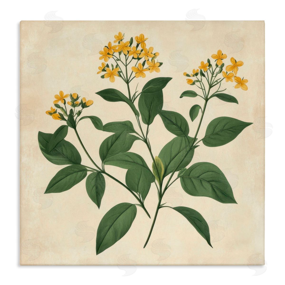 Petal Prints Design Yellow Bushels Botanical Illustration Canvas Wall Art Print