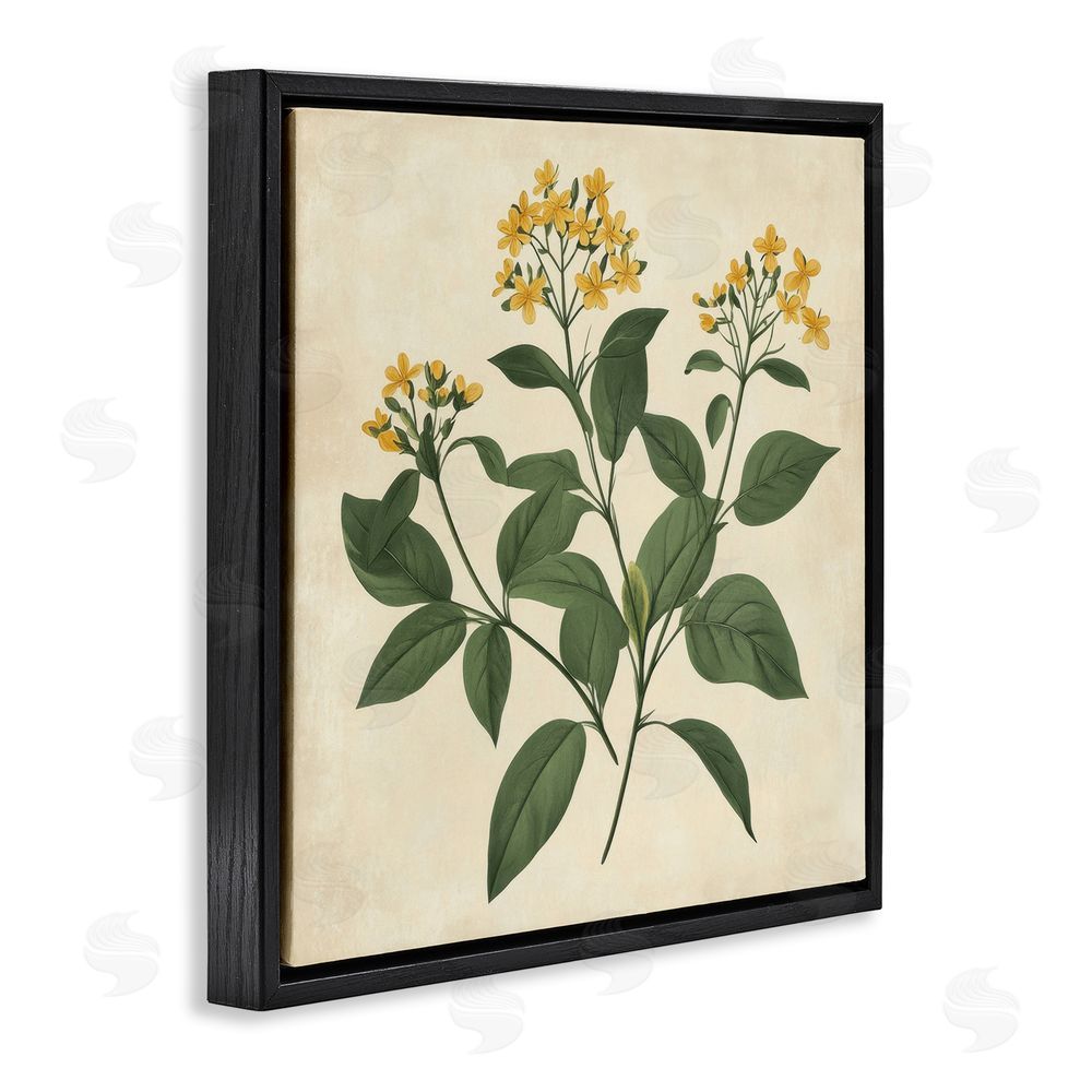 Petal Prints Design Yellow Bushels Botanical Illustration Black Floating Frame Canvas Wall Art Print