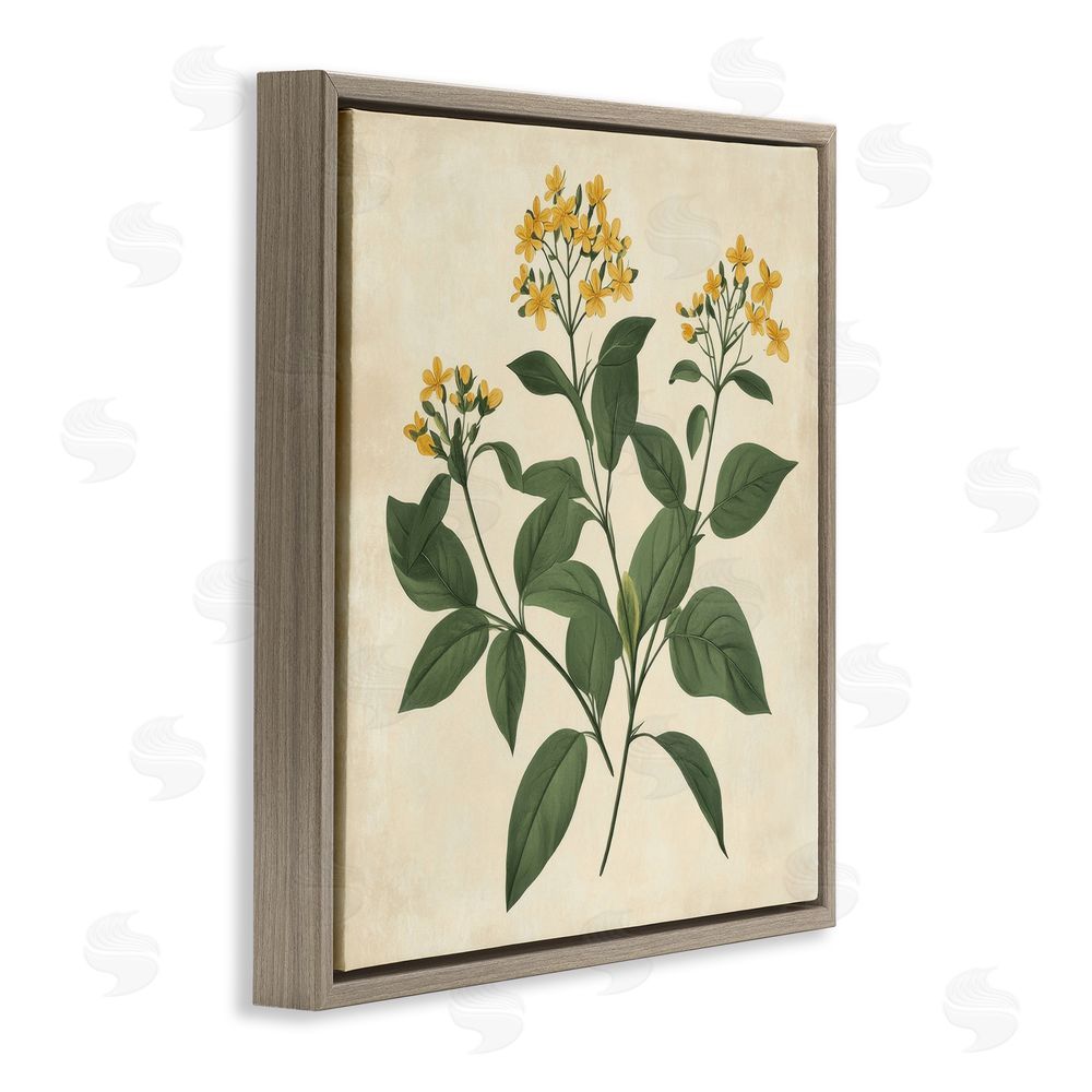 Petal Prints Design Yellow Bushels Botanical Illustration Brown Floating Frame Canvas Wall Art Print