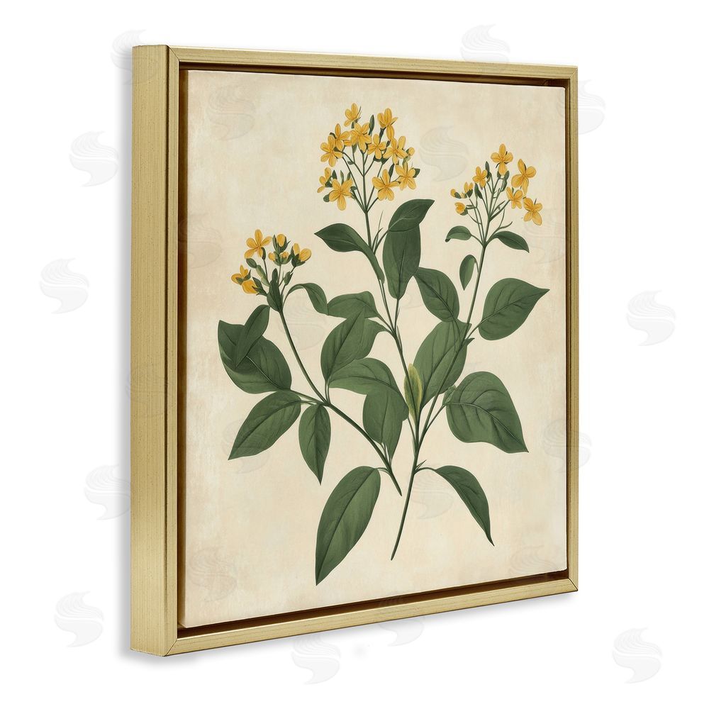 Petal Prints Design Yellow Bushels Botanical Illustration Gold Floating Frame Canvas Wall Art Print