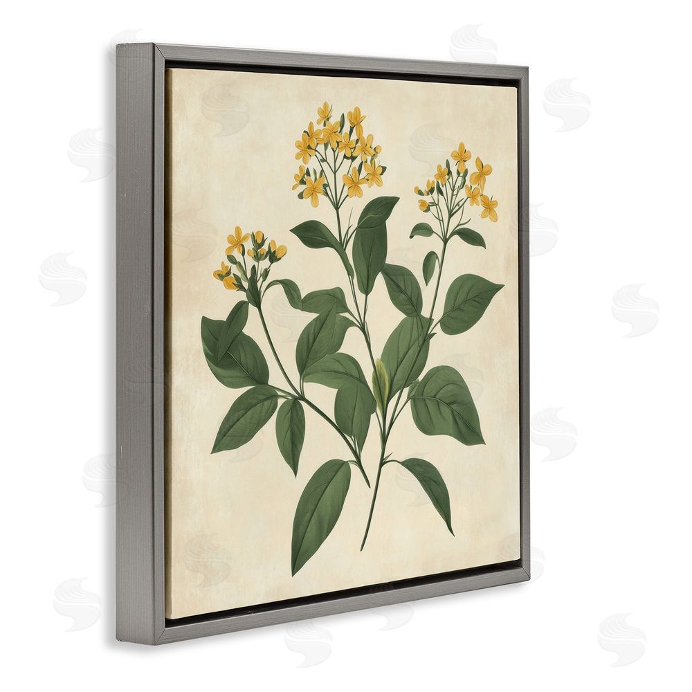 Petal Prints Design Yellow Bushels Botanical Illustration Gray Floating Frame Canvas Wall Art Print