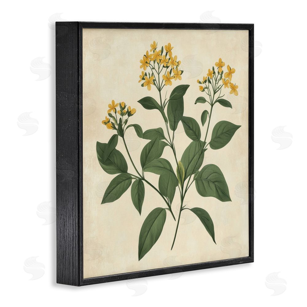 Petal Prints Design Yellow Bushels Botanical Illustration Black Framed Giclee Wall Art Print