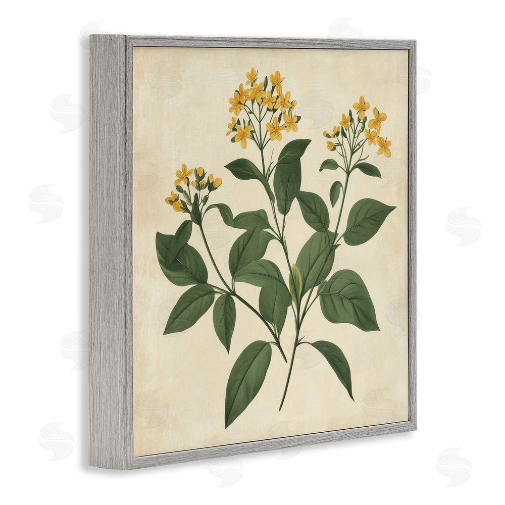 Petal Prints Design Yellow Bushels Botanical Illustration Gray Framed Giclee Wall Art Print