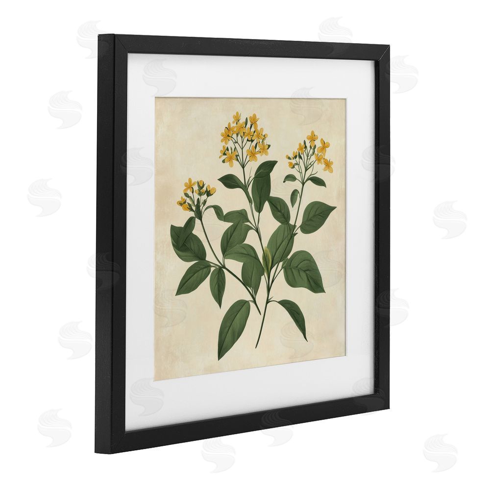 Petal Prints Design Yellow Bushels Botanical Illustration Black Framed Print Under Glass with White Mat Wall Art
