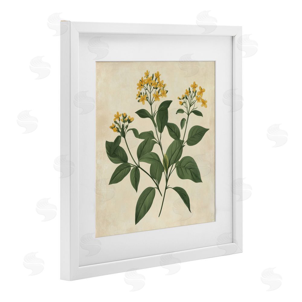 Petal Prints Design Yellow Bushels Botanical Illustration White Framed Print Under Glass with Mat Wall Art