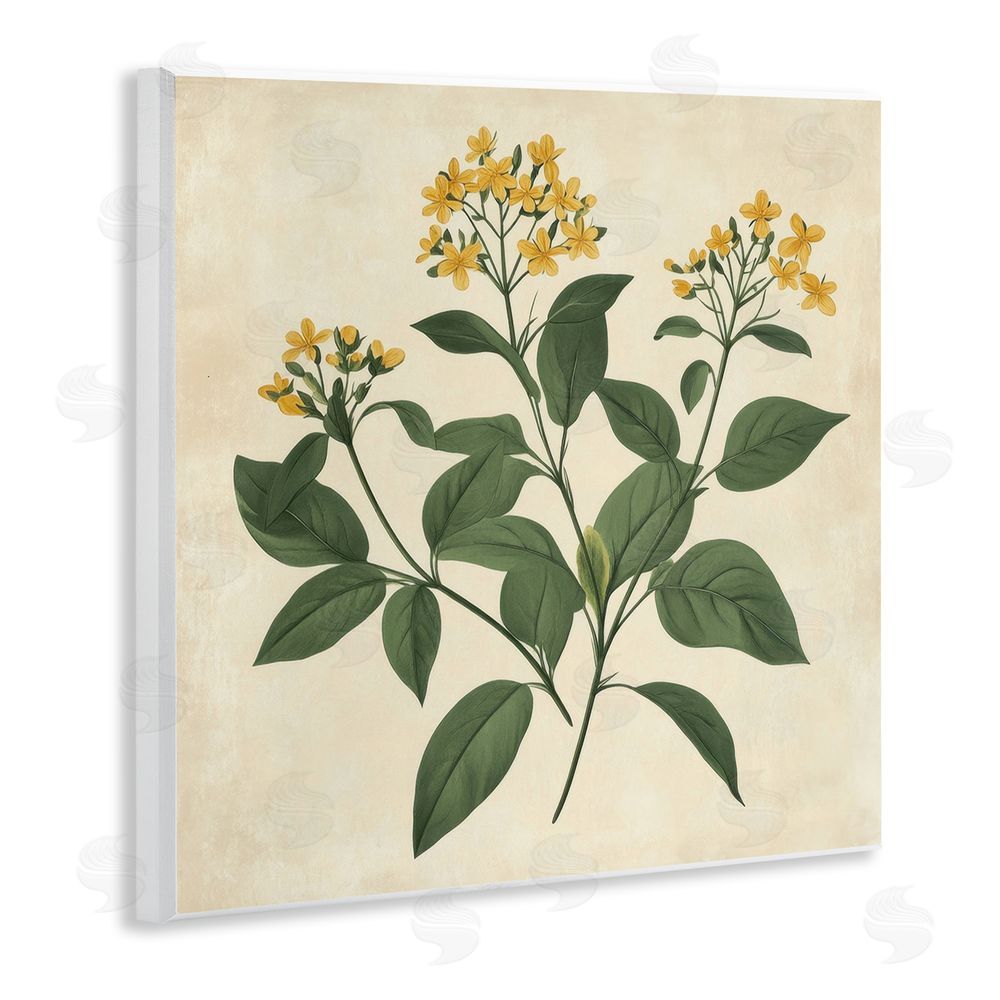 Petal Prints Design Yellow Bushels Botanical Illustration Wall Plaque Art Print