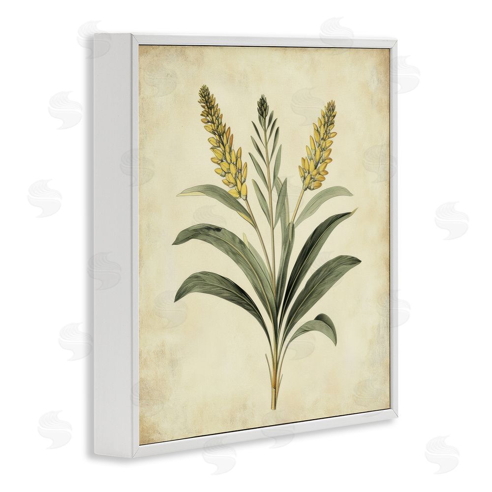 Petal Prints Design Vintage Yellow Wheat Illustration White Framed Giclee Wall Art Print