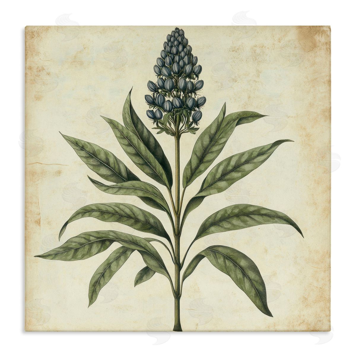 Petal Prints Design Vintage Blue Botanical Illustration Canvas Wall Art Print