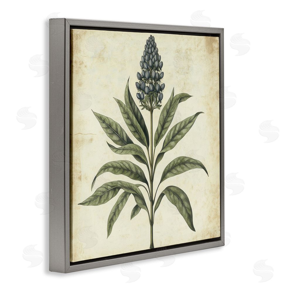 Petal Prints Design Vintage Blue Botanical Illustration Gray Floating Frame Canvas Wall Art Print