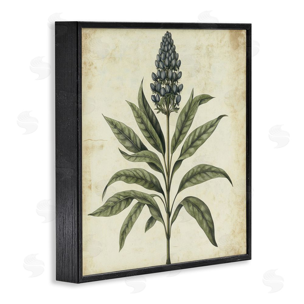 Petal Prints Design Vintage Blue Botanical Illustration Black Framed Giclee Wall Art Print
