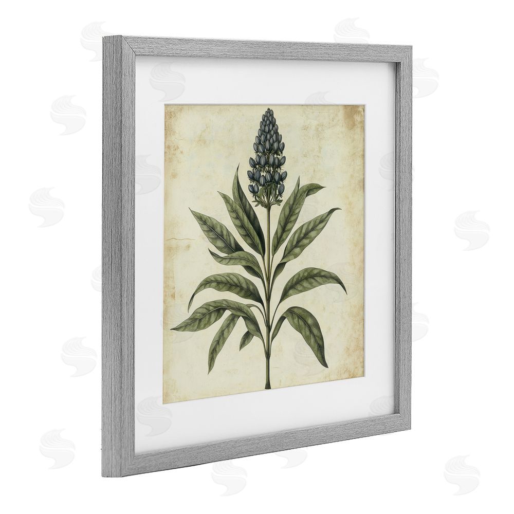 Petal Prints Design Vintage Blue Botanical Illustration Gray Framed Print Under Glass with White Mat Wall Art