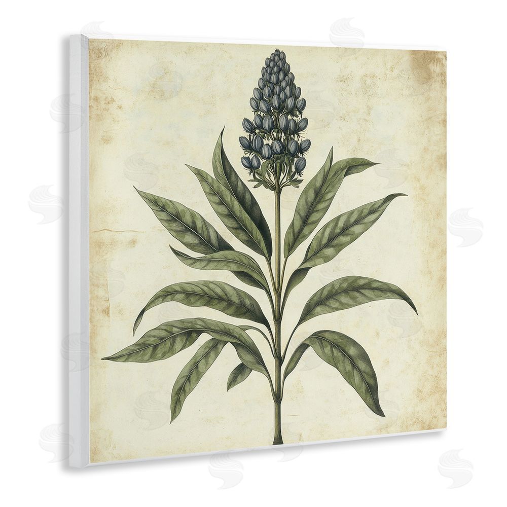 Petal Prints Design Vintage Blue Botanical Illustration Wall Plaque Art Print