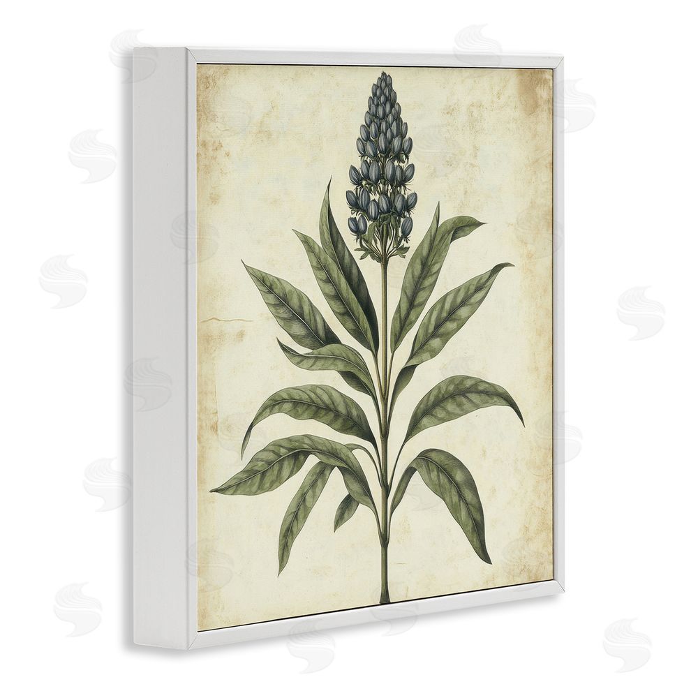 Petal Prints Design Vintage Blue Botanical Illustration White Framed Giclee Wall Art Print