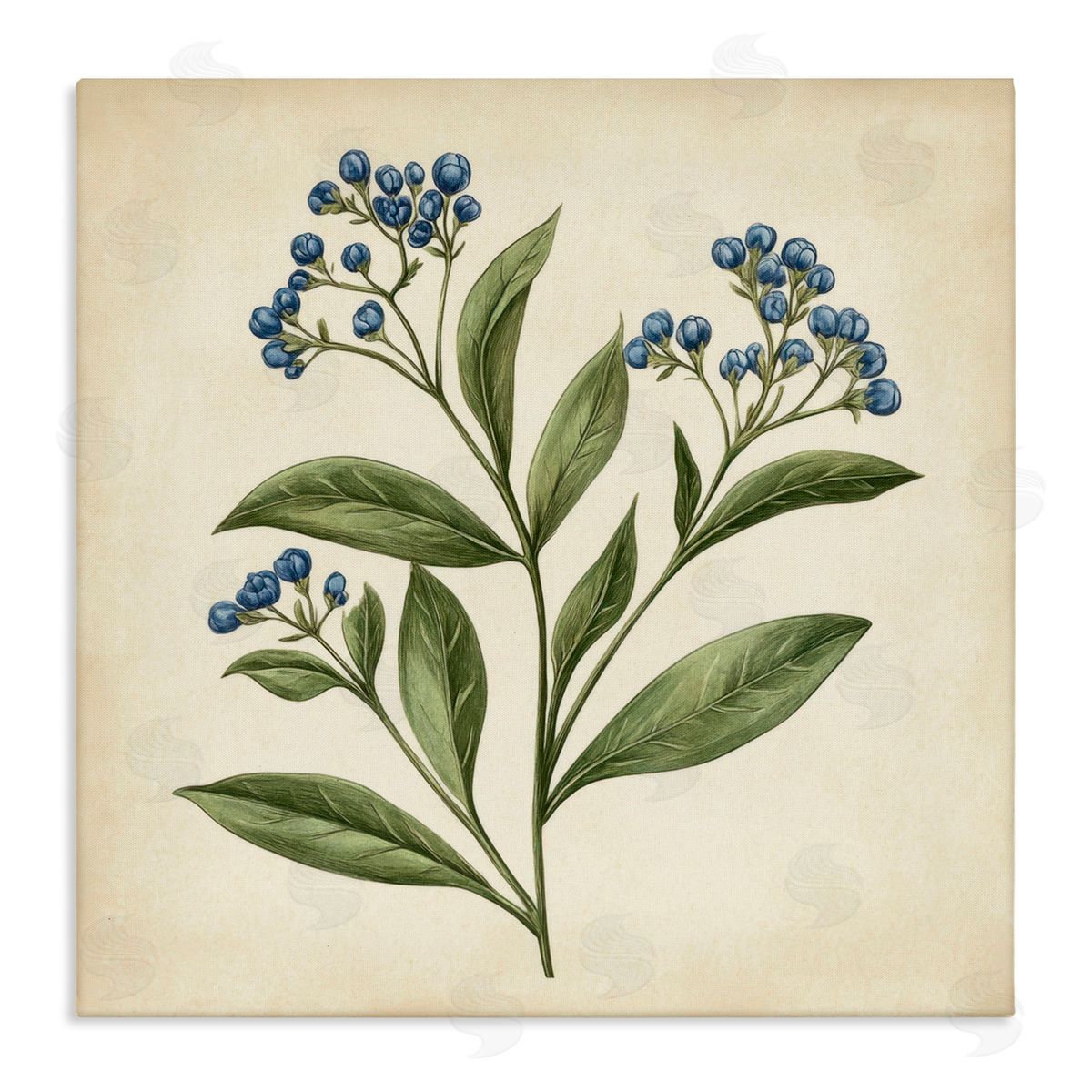 Petal Prints Design Blue Buds Botanical Illustration Canvas Wall Art Print