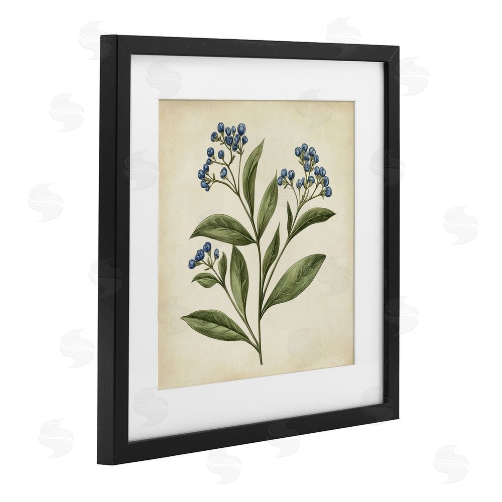 Petal Prints Design Blue Buds Botanical Illustration Black Framed Print Under Glass with White Mat Wall Art