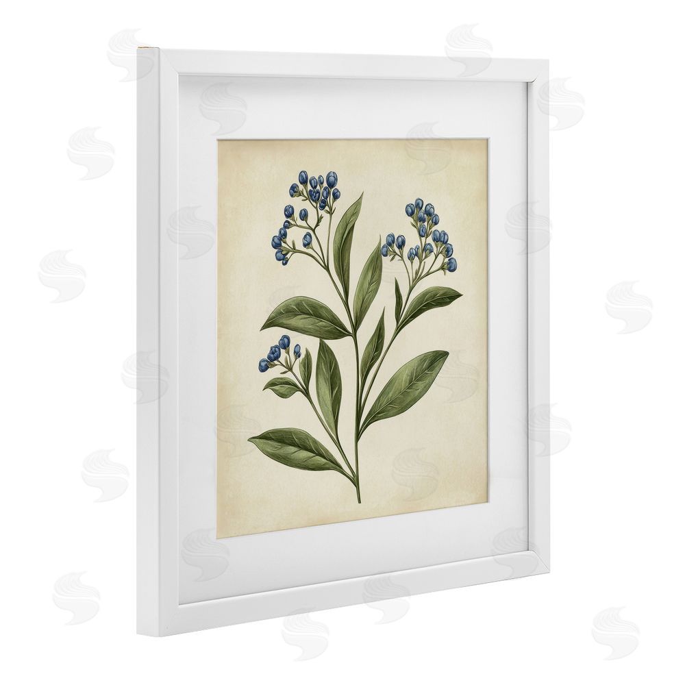 Petal Prints Design Blue Buds Botanical Illustration White Framed Print Under Glass with Mat Wall Art