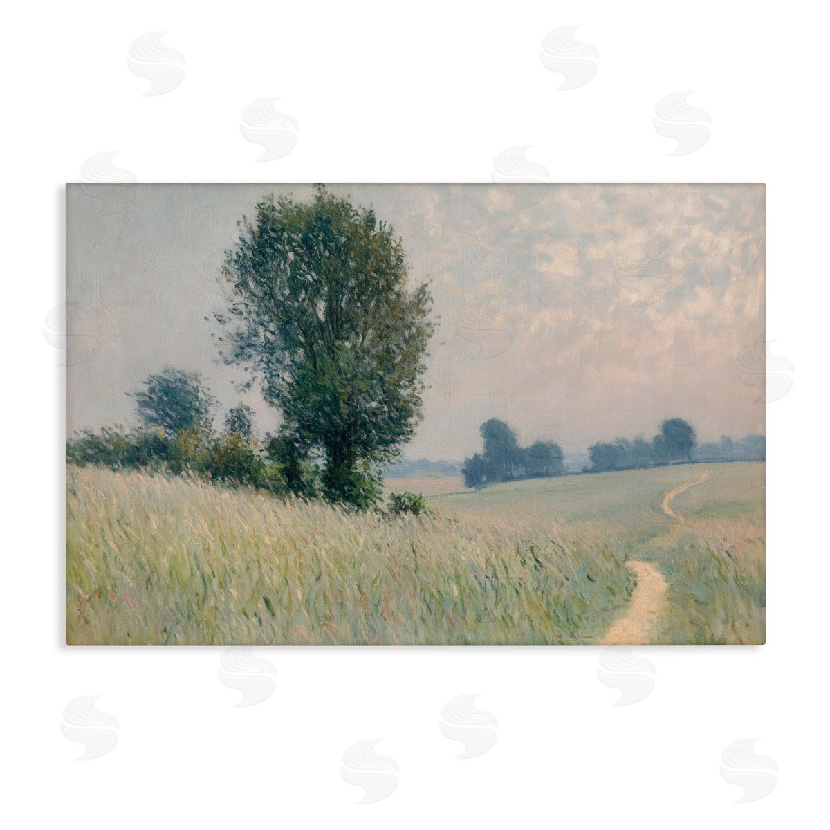 Petal Prints Design Tall Grass Path in Field Canvas Wall Art Print