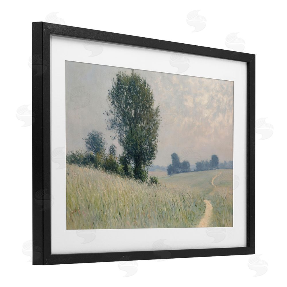 Petal Prints Design Tall Grass Path in Field Black Framed Print Under Glass with White Mat Wall Art