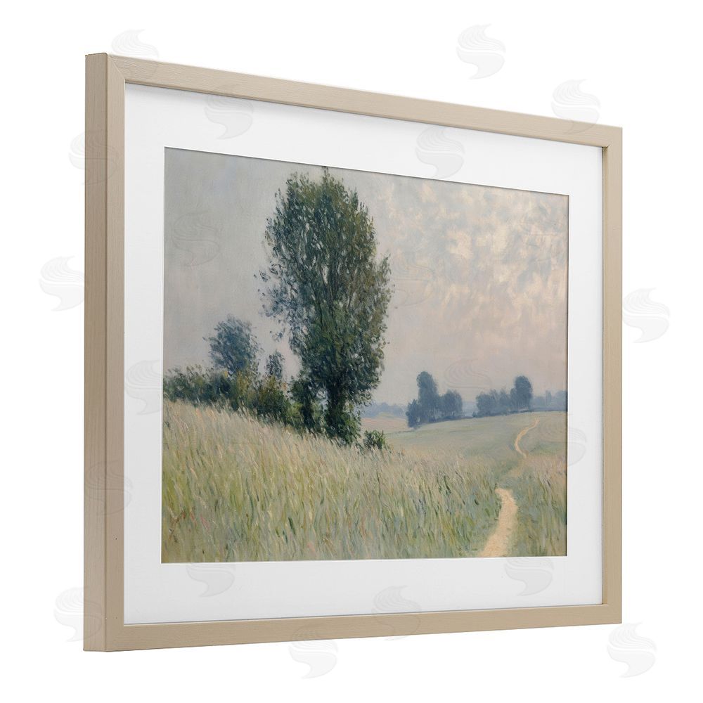 Petal Prints Design Tall Grass Path in Field Birch Framed Print Under Glass with White Mat Wall Art