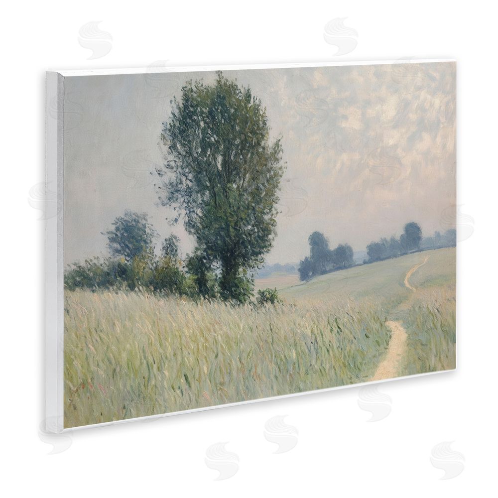 Petal Prints Design Tall Grass Path in Field Wall Plaque Art Print