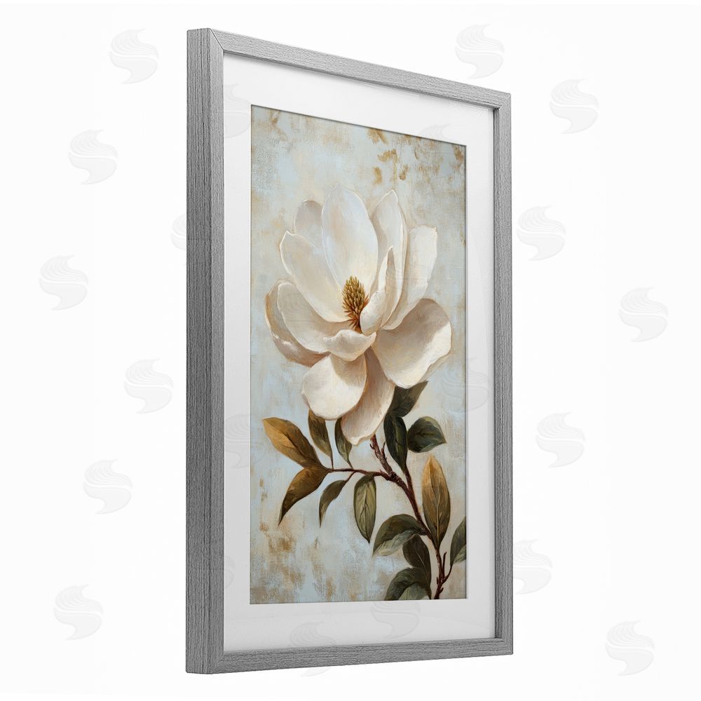 Petal Prints Design Open White Magnolia Flower Gray Framed Print Under Glass with White Mat Wall Art