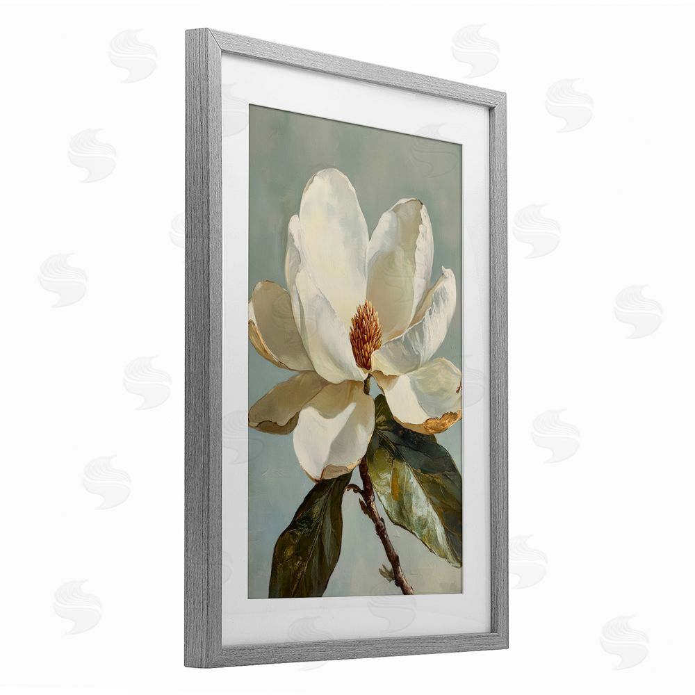 Petal Prints Design Blossomed White Magnolia Floral Gray Framed Print Under Glass with White Mat Wall Art