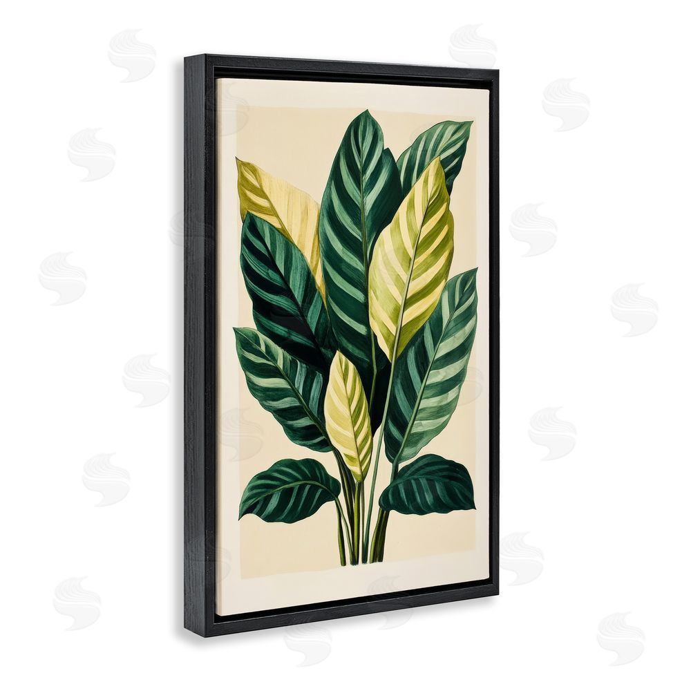 Petal Prints Design Tropical Leaves Green Branches Black Floating Frame Canvas Wall Art Print