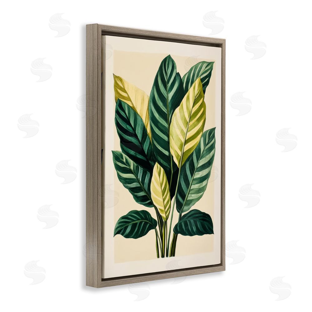 Petal Prints Design Tropical Leaves Green Branches Brown Floating Frame Canvas Wall Art Print