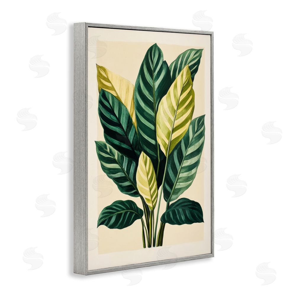 Petal Prints Design Tropical Leaves Green Branches Gray Framed Giclee Wall Art Print