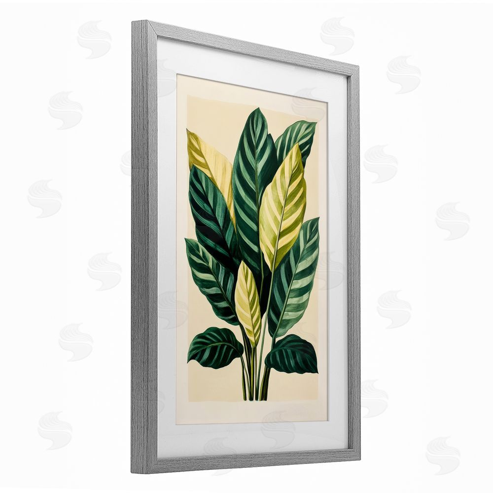 Petal Prints Design Tropical Leaves Green Branches Gray Framed Print Under Glass with White Mat Wall Art