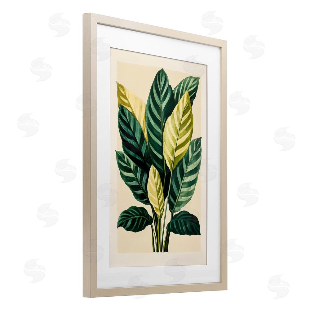 Petal Prints Design Tropical Leaves Green Branches Birch Framed Print Under Glass with White Mat Wall Art