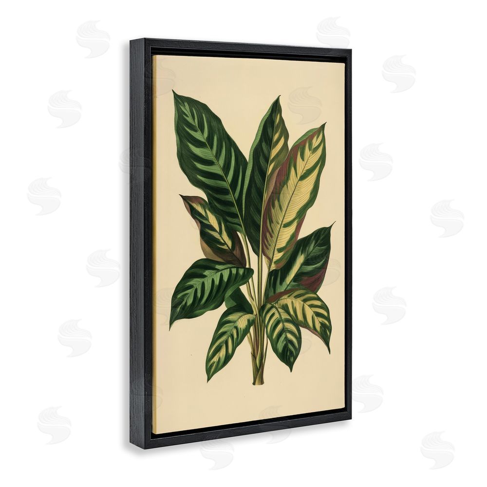 Petal Prints Design Tropical Leaves Green Fronds Black Floating Frame Canvas Wall Art Print