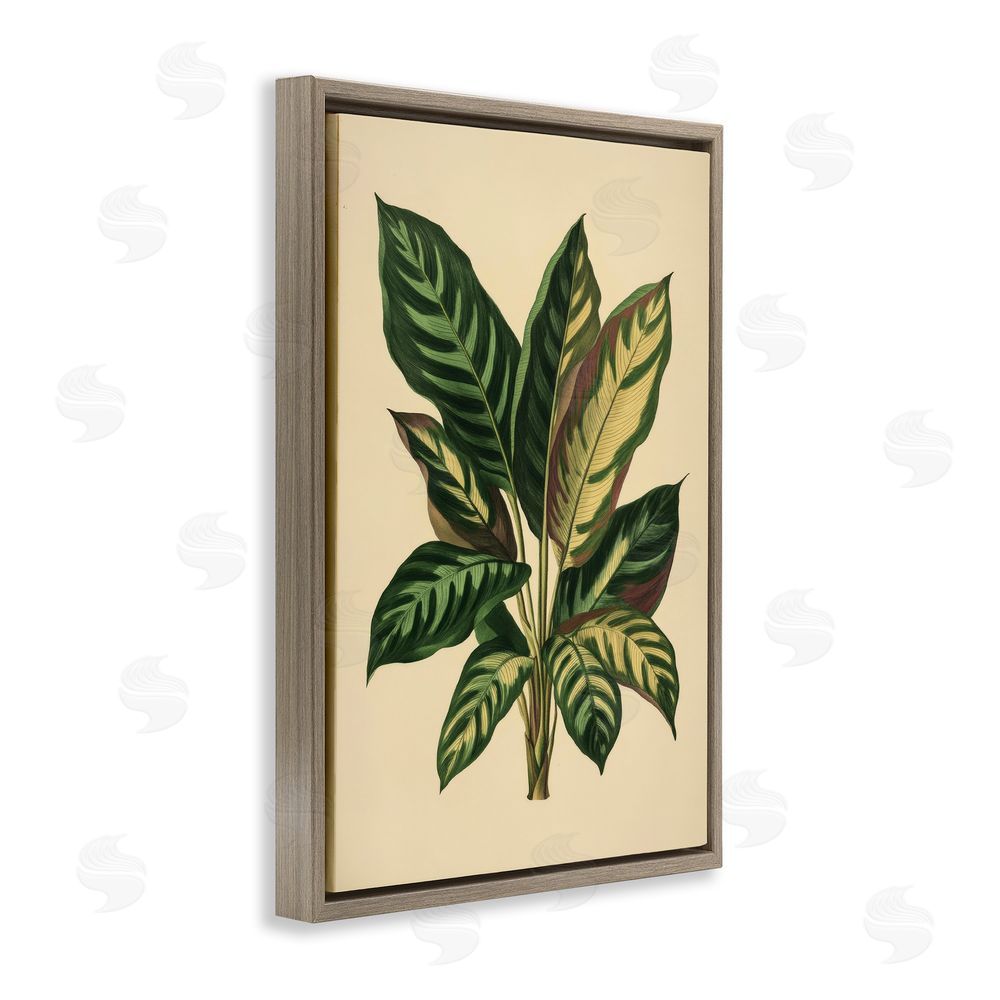 Petal Prints Design Tropical Leaves Green Fronds Brown Floating Frame Canvas Wall Art Print