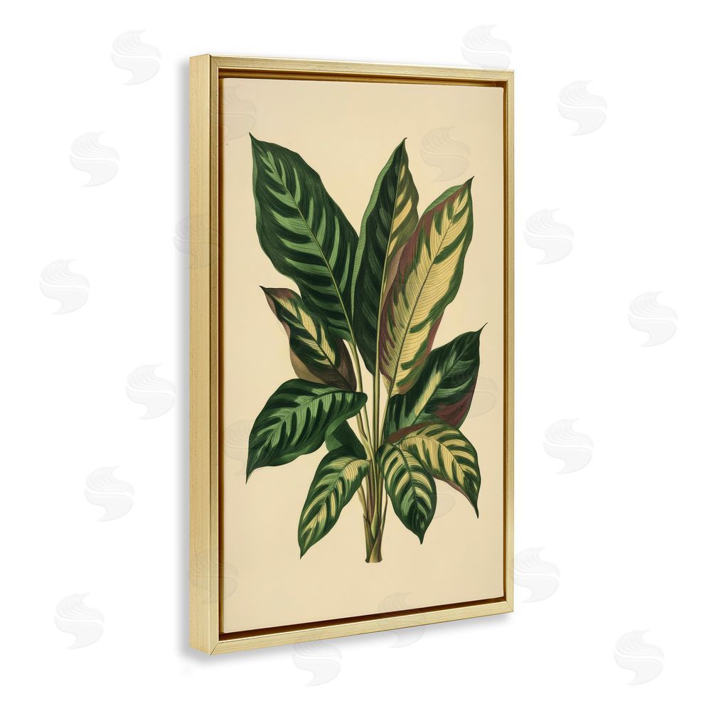 Petal Prints Design Tropical Leaves Green Fronds Gold Floating Frame Canvas Wall Art Print