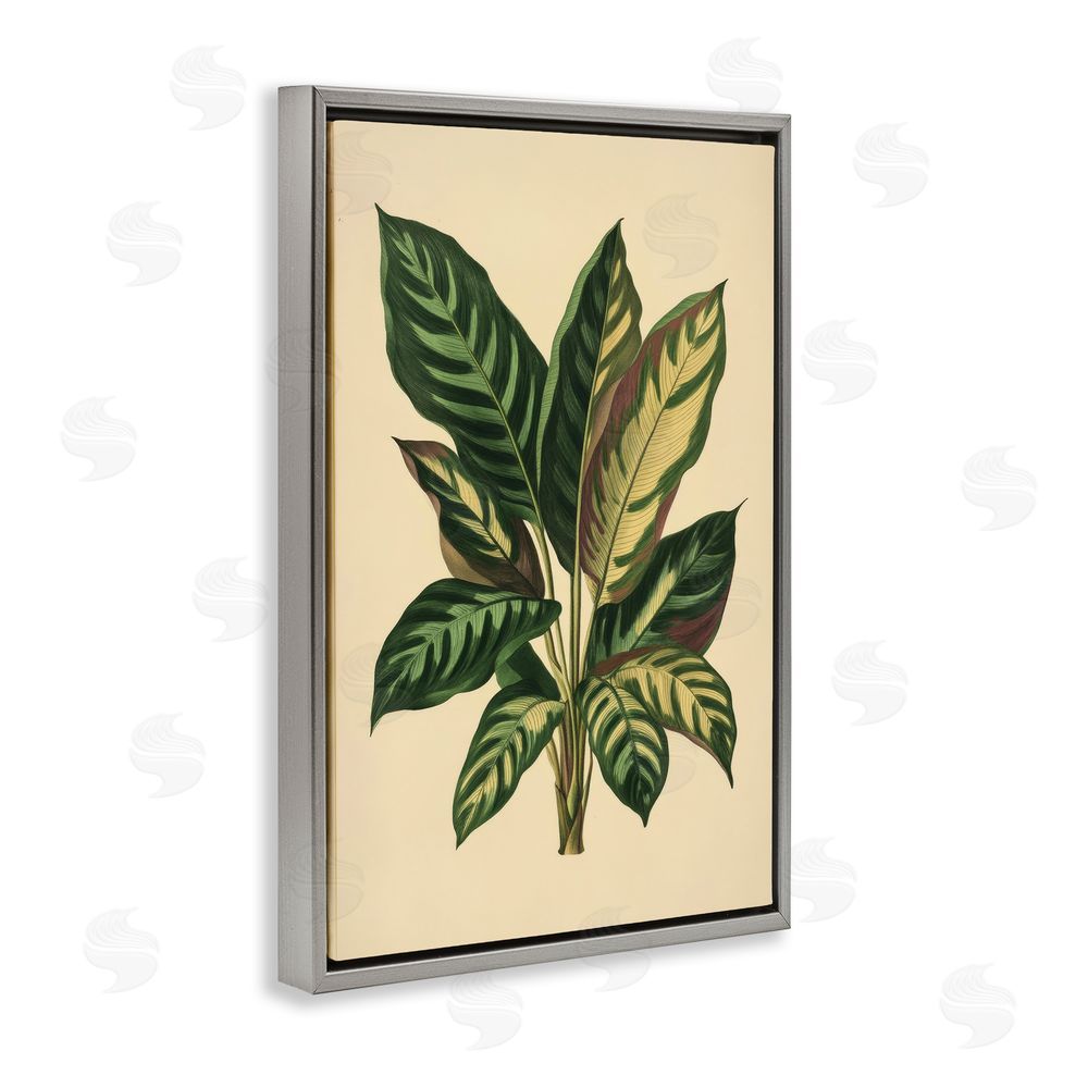 Petal Prints Design Tropical Leaves Green Fronds Gray Floating Frame Canvas Wall Art Print