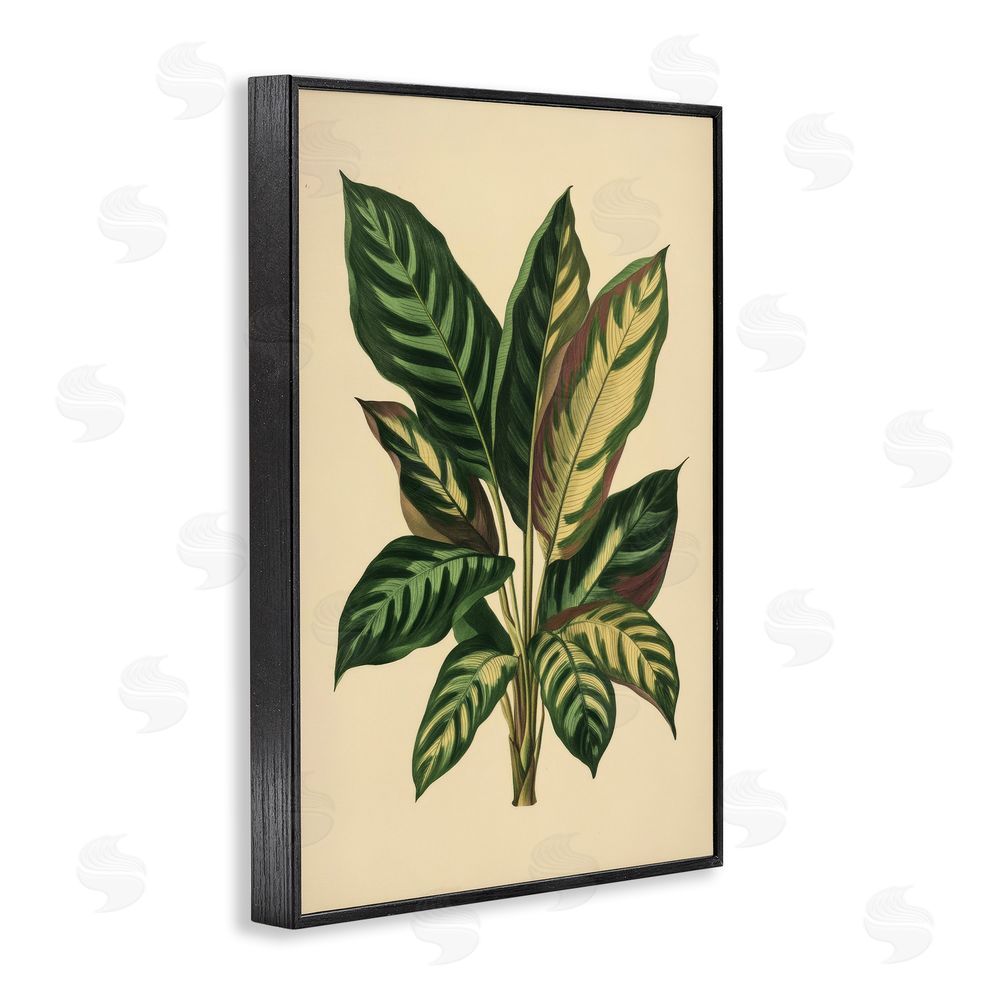 Petal Prints Design Tropical Leaves Green Fronds Black Framed Giclee Wall Art Print