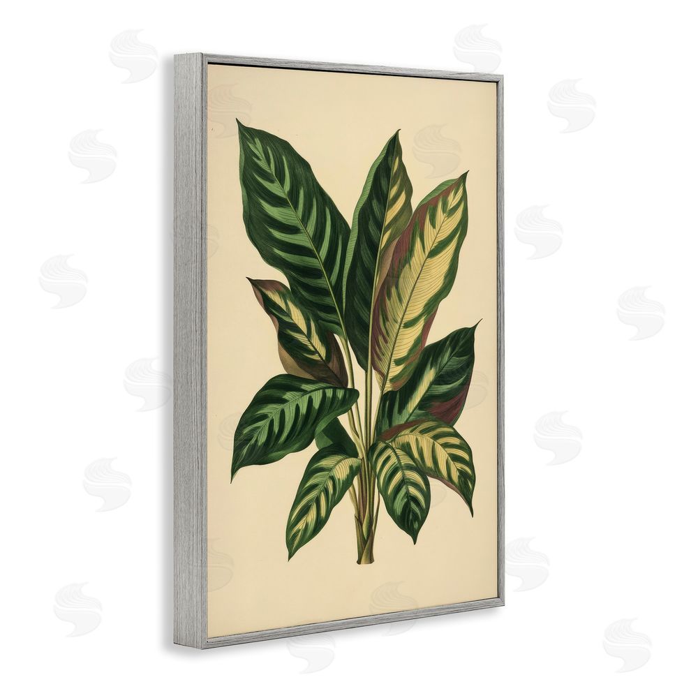 Petal Prints Design Tropical Leaves Green Fronds Gray Framed Giclee Wall Art Print