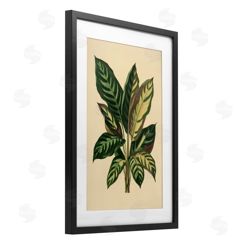 Petal Prints Design Tropical Leaves Green Fronds Black Framed Print Under Glass with White Mat Wall Art