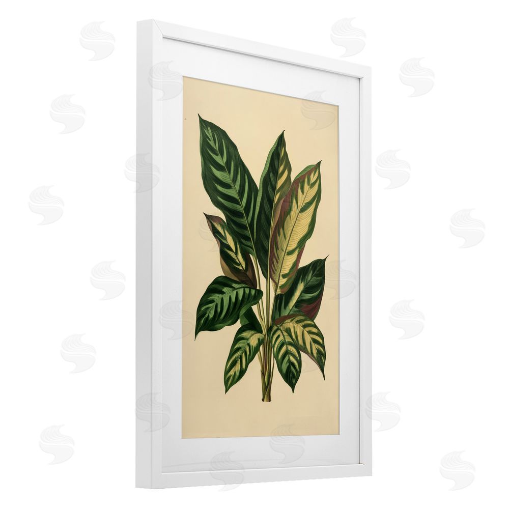 Petal Prints Design Tropical Leaves Green Fronds White Framed Print Under Glass with Mat Wall Art