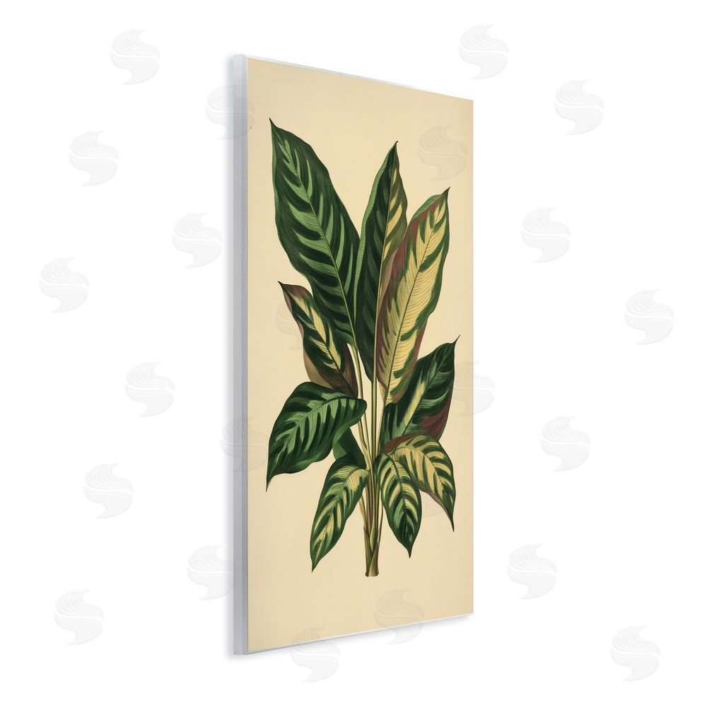 Petal Prints Design Tropical Leaves Green Fronds Wall Plaque Art Print