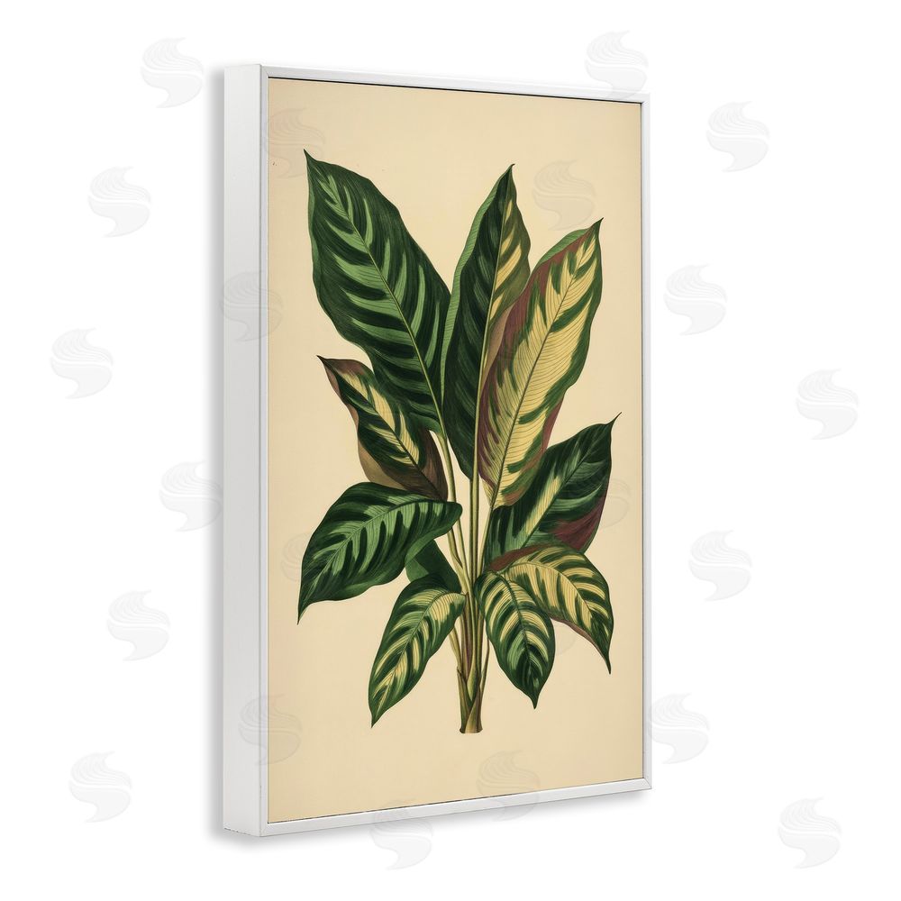 Petal Prints Design Tropical Leaves Green Fronds White Framed Giclee Wall Art Print