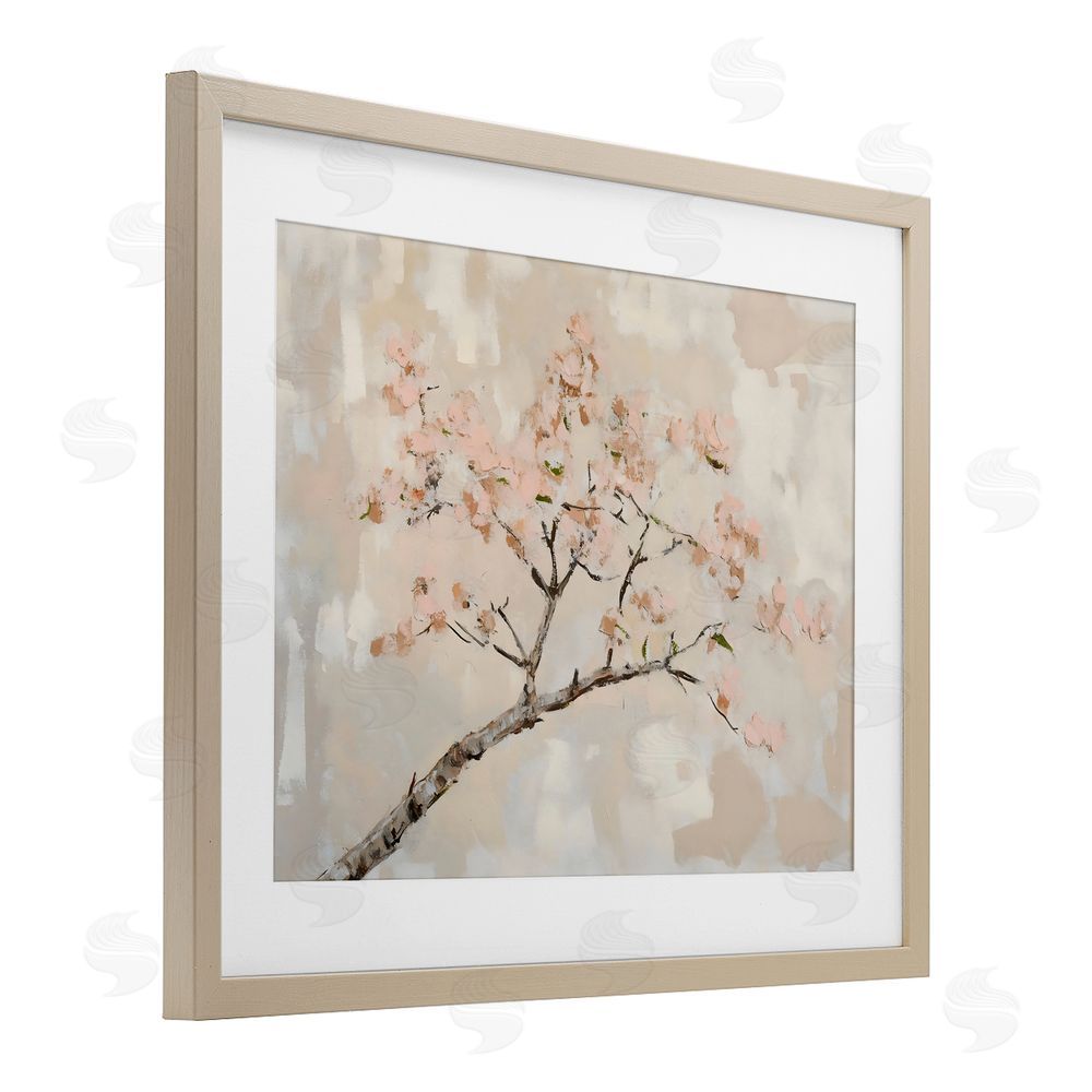 Franklyn Gregory Muted Cherry Blossoms Branch Birch Framed Print Under Glass with White Mat Wall Art